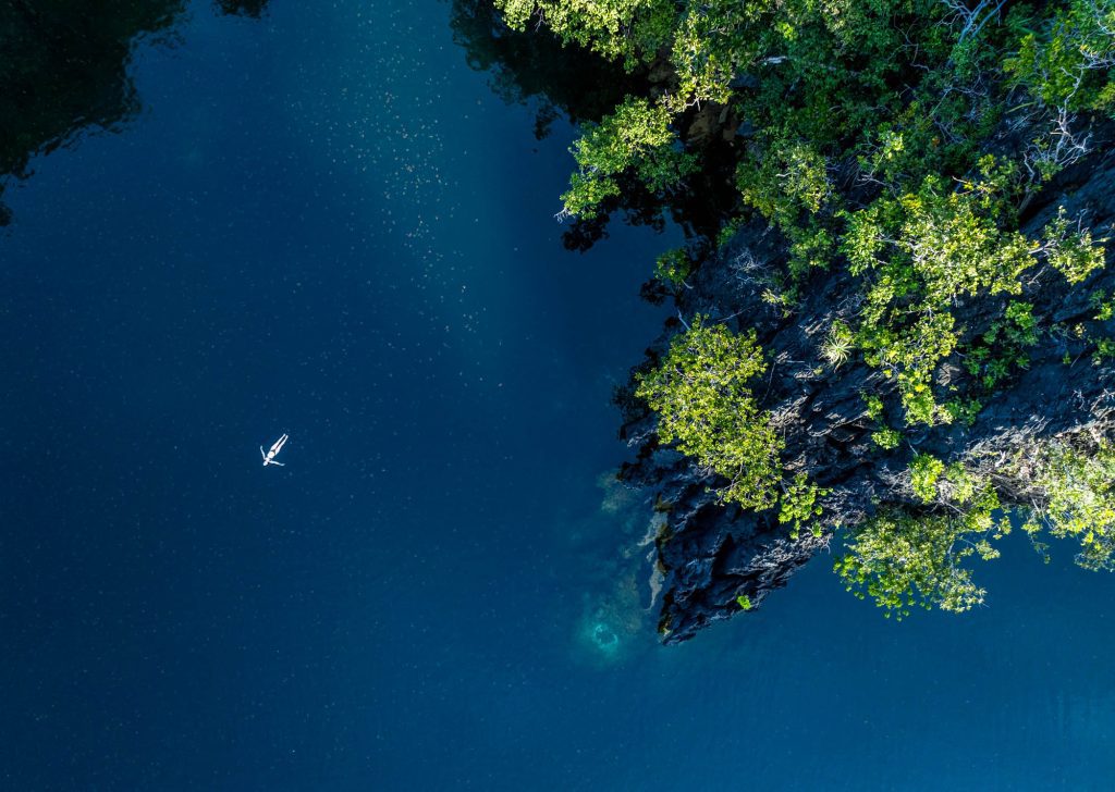 Experience / Jellyfish Lake // Raja Ampat Jellyfish Lake // Raja Ampat