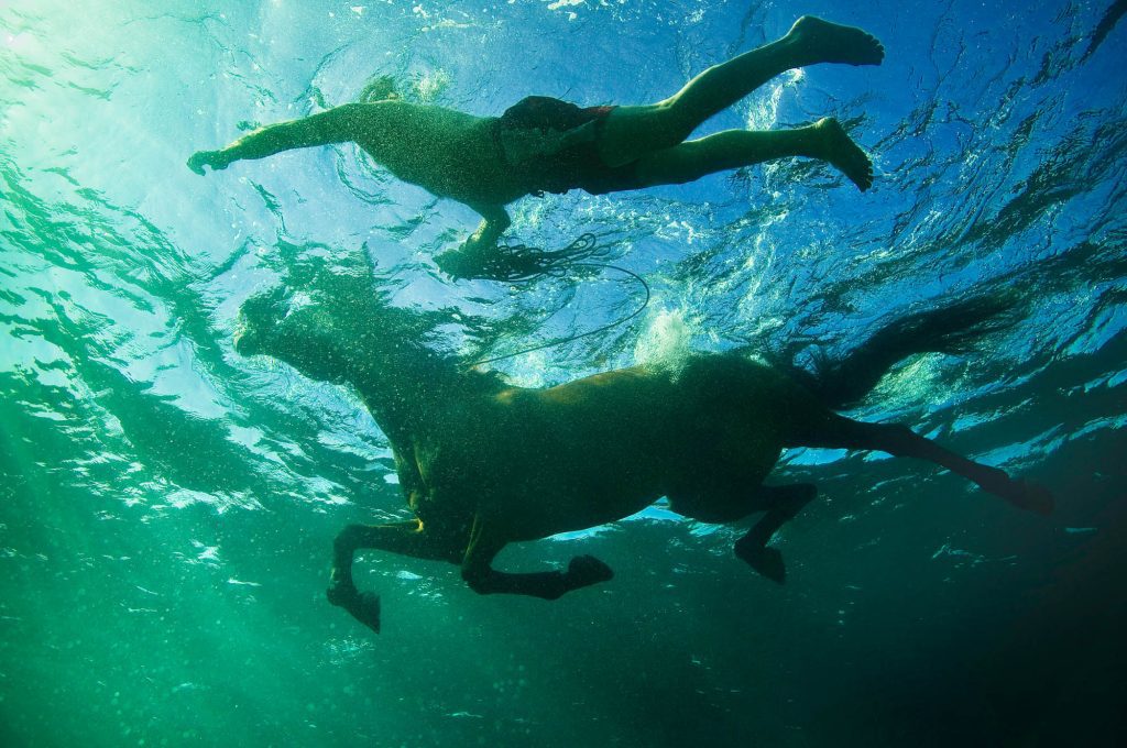 Heat Wave / Escape Escape